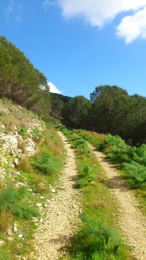 Ostello Cielo D'Alcamo Extérieur photo